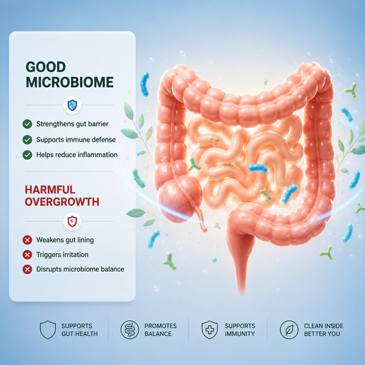 Men’s Probiotic | Urinary & Gut Support
